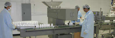 Freeze Dried Nopal Cactus (Prickly Pear) Labelling Machine